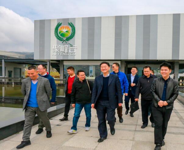 集团党委书记、董事长任丁率队调研聚峰谷